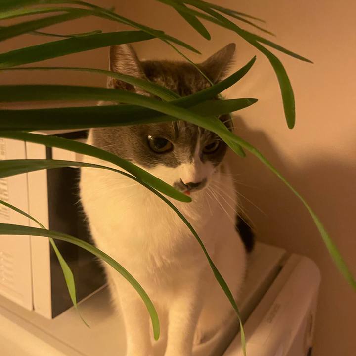 B590fba2 7fb3 4024 a912 ee3333fce664 1703067447611