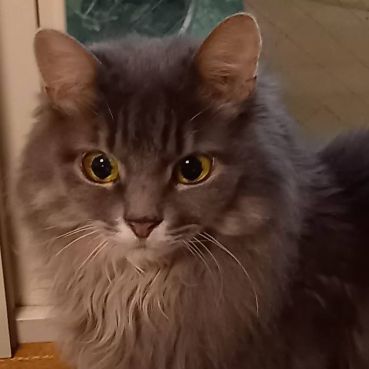 B59116e2 2f32 4d58 b864 4f3da2e93fc4 1602920384818