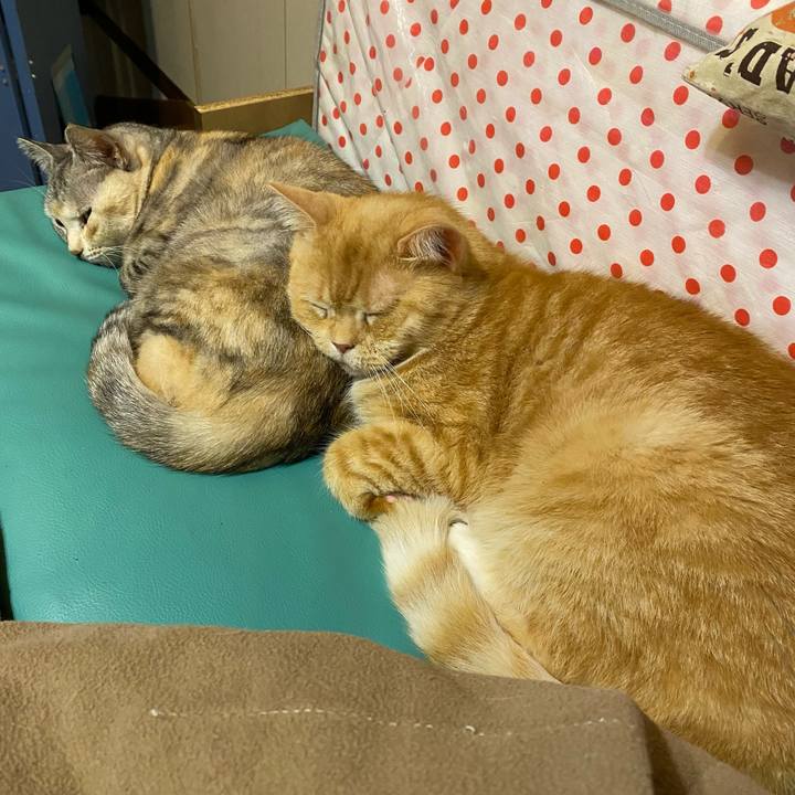 B59130cf f01e 4fe3 aebb e0800b4bf7bc 1636940882607