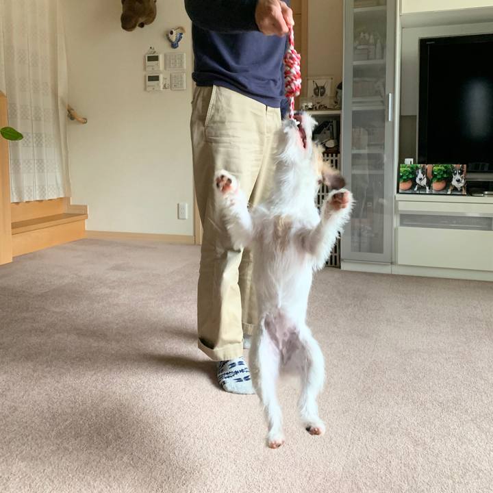 B59143b6 1409 4102 b945 5f3c0afe7804 1574572355439