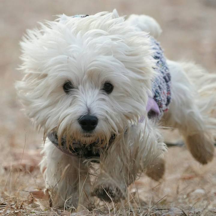 B5915cc2 faa0 49dd 8632 5a8143f2452c 1513866778539