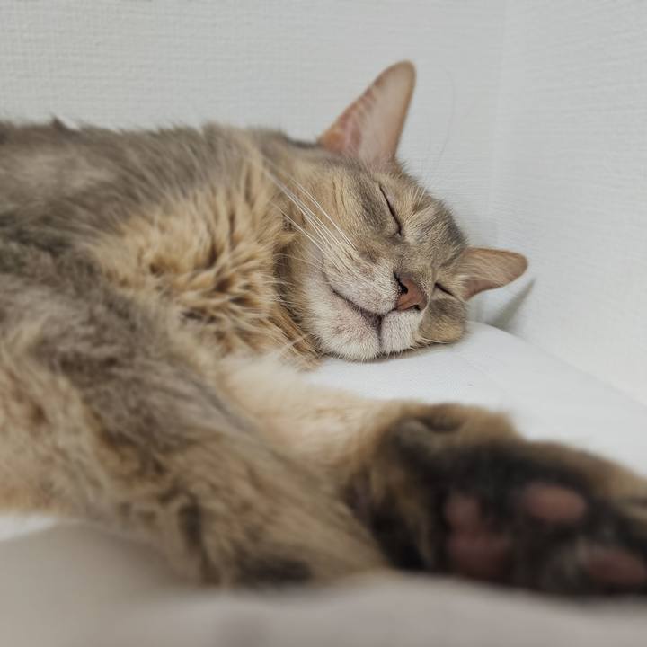 B591b666 0374 439f b12f 2562457fcad7 1753098497784