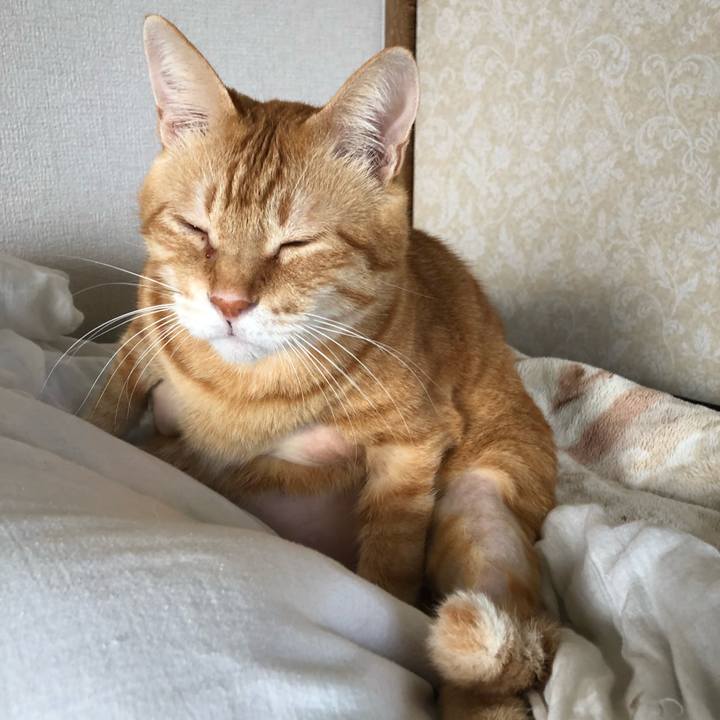 B5924d23 855e 498f 8ca3 a67ef5dbdd11 1632783350665