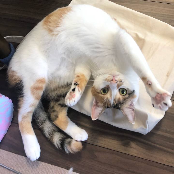 B5925a59 6cda 4a22 ae10 7cdc973a6095 1599608947399