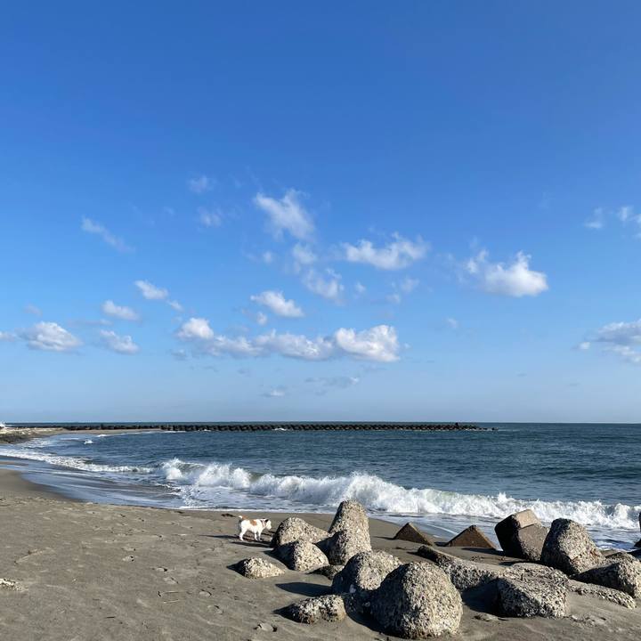 B59264f1 149e 493d 82dd cfb3e7c6ebb5 1618439666475