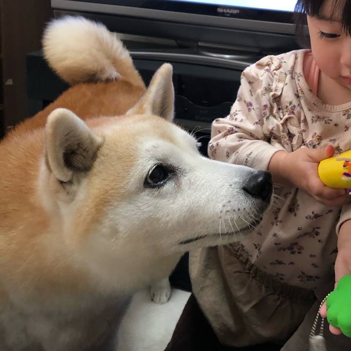 B5929ae7 0d8d 453d 92e4 ca98cd643658 1543132071120