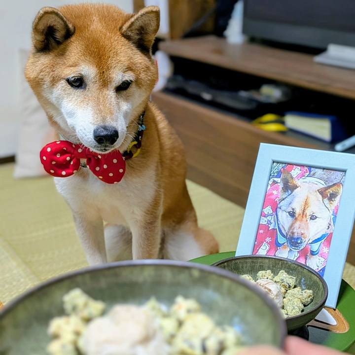 B592d466 fbf0 47bb 9589 a9acad34dbd1 1756629695079