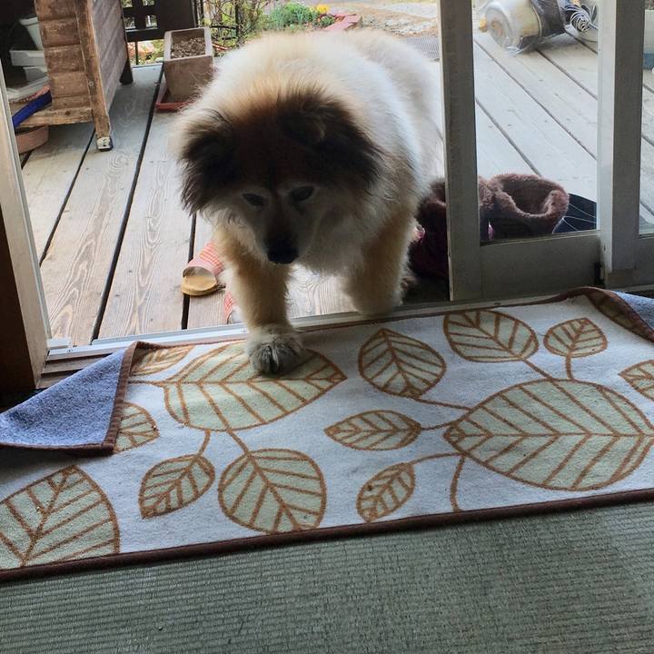 B593088d 4cd4 4c01 8383 a4a277c71188 1575776818013