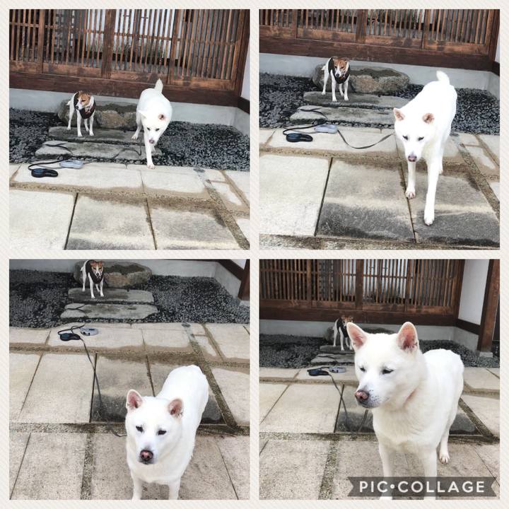 B5931105 f387 4a0e 9948 c413a7e60a59 1517709622778