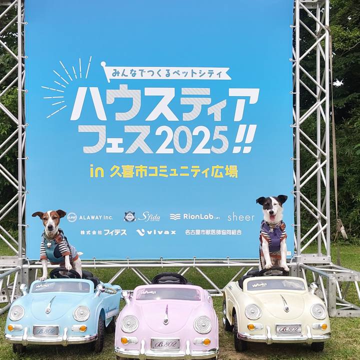 B59338e4 632e 4c6e 8dda 3f046cad6bf3 1749366751150