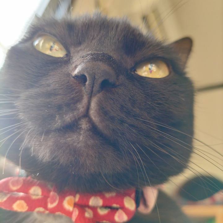 B5936d43 fa4a 4a06 830d d196834a8e6f 1676675933134