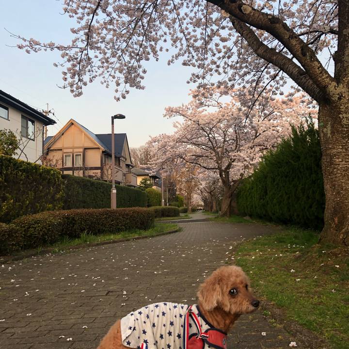 B593b516 6191 4231 b7a1 fe9180fb36b9 1649843389729