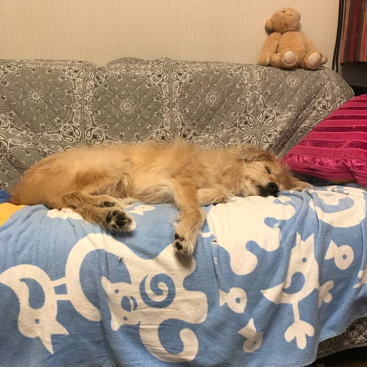 B594206f 0501 45db bab0 70a565efcaab 1546533323021