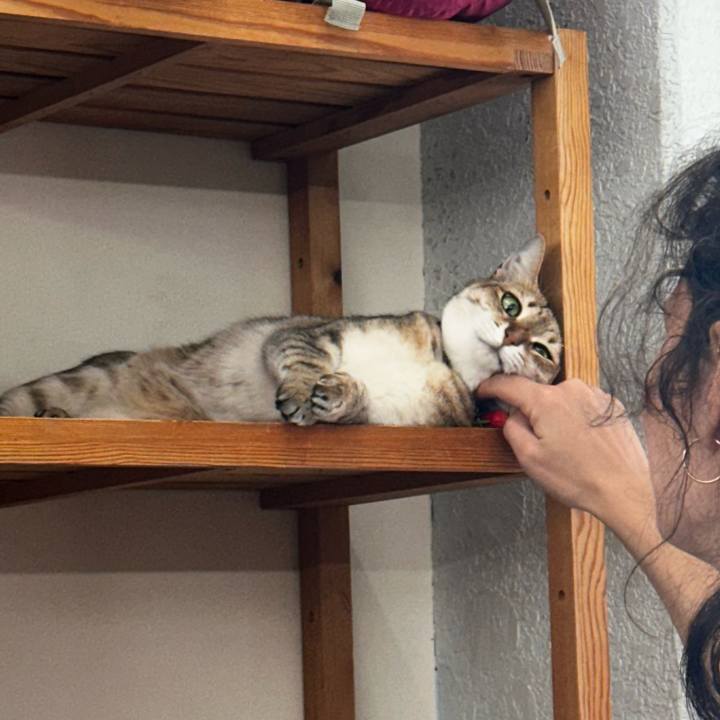 B5943724 aa43 498e bc23 ee31616bc6ab 1779582953289