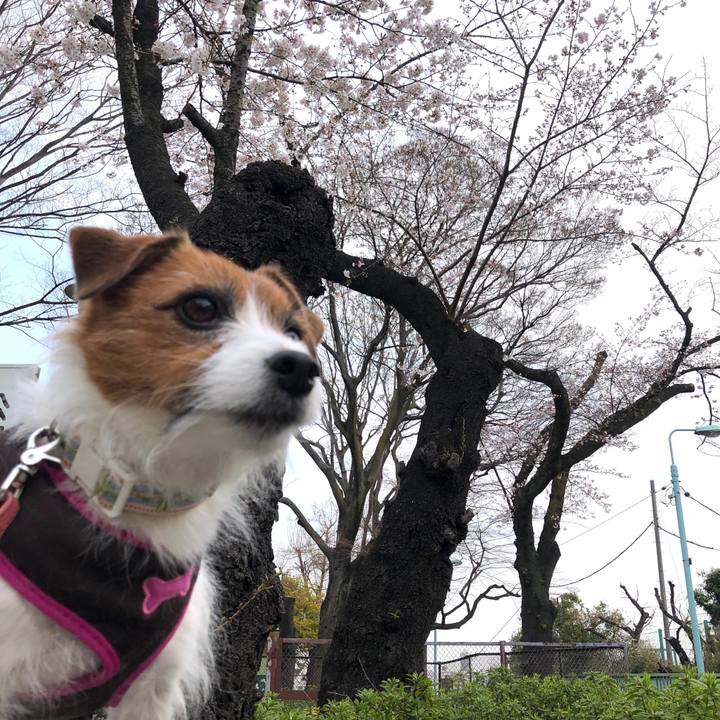 B594825e 5bd9 43a7 b4b8 a80a7c1e74c0 1584830732802