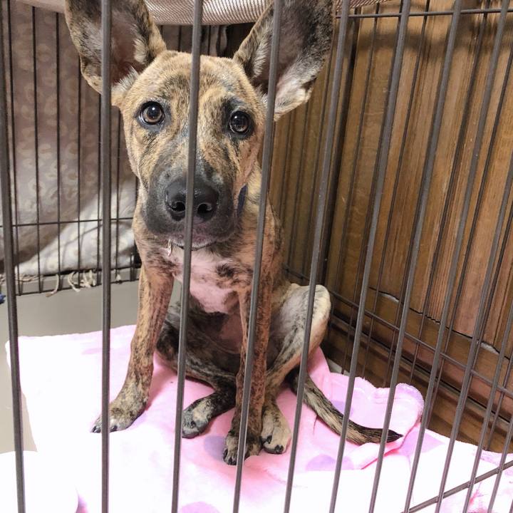 B594d1a0 f45f 4546 bfb6 5fd6c67b70bd 1574255722299