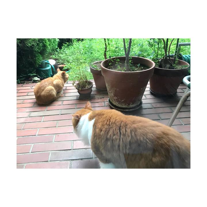 B594f423 6c82 402f 897c 1f50349b7f63 1662162257633