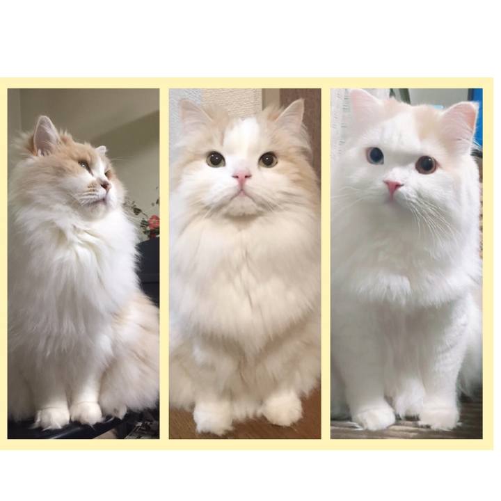 B59506e7 a83a 4529 a912 d03f43742293 1548251608890