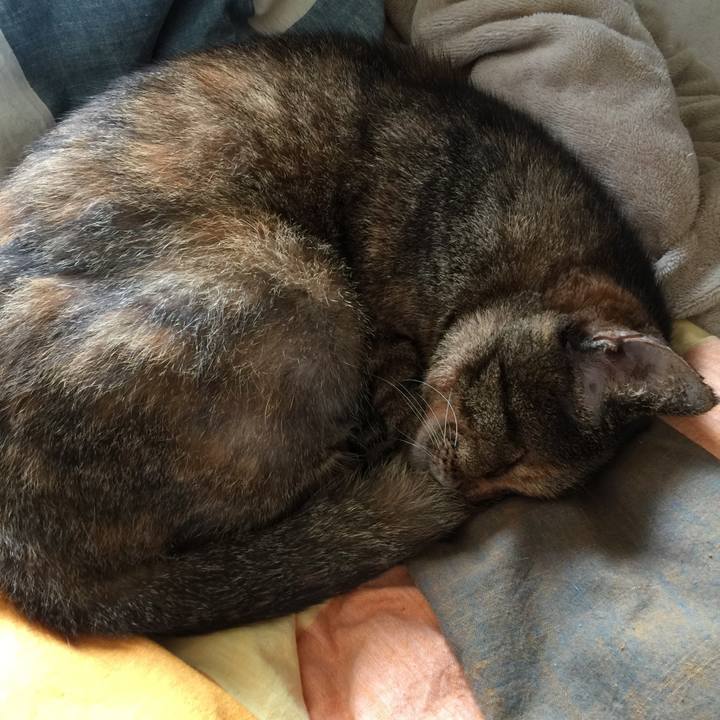 B5950da2 4ea9 4292 91f4 600260159aac 1590275416255