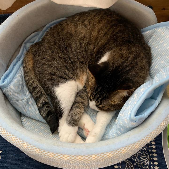 B5951d40 3161 48b7 990f 16098b2eda12 1560758563676