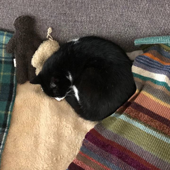 B59537bb e529 465f b1ff 6ff8fc1cabd6 1517796007646