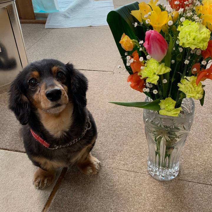 B5955c22 ebee 41b6 a1a6 df2259868b2c 1553297644745