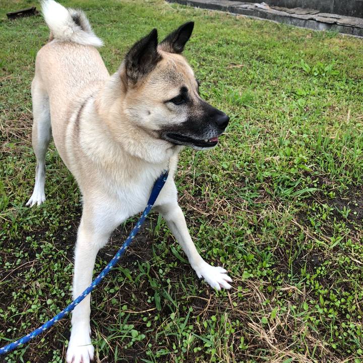 B595b24f 70af 4ebd 84c2 f48fd550b1b6 1603109437358