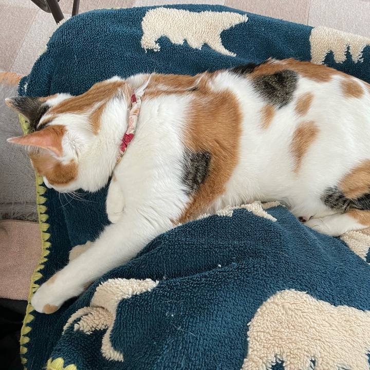 B595e039 03eb 4b11 997e 1f3a4761a4cb 1642910927847