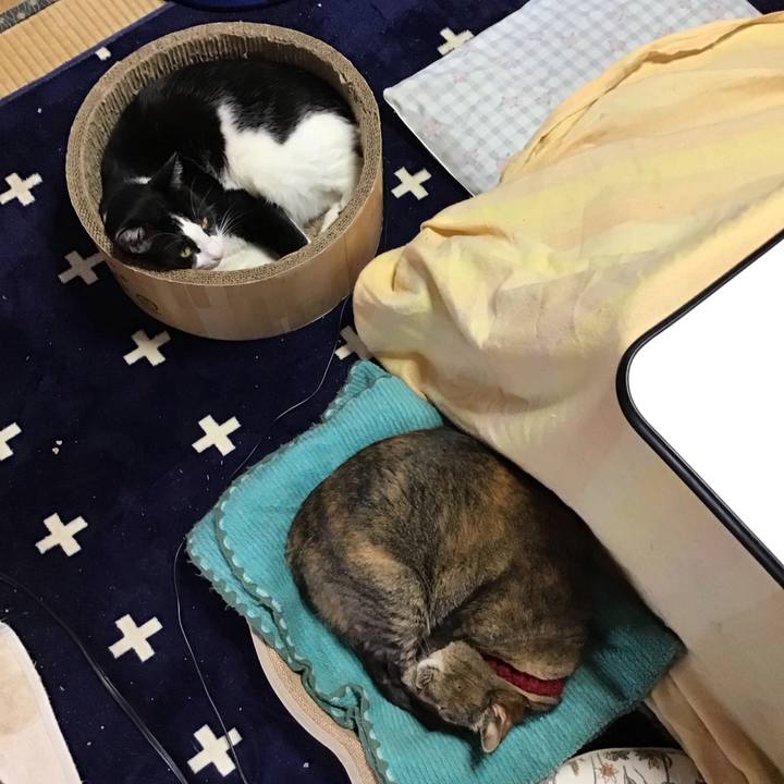 B596373d 9b03 4a5e a3f8 580d9d635513 1738754812528