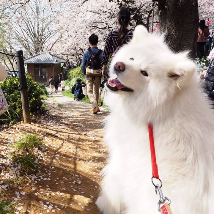 B596673f b5fc 4672 b34a 182513803395 1522485552691