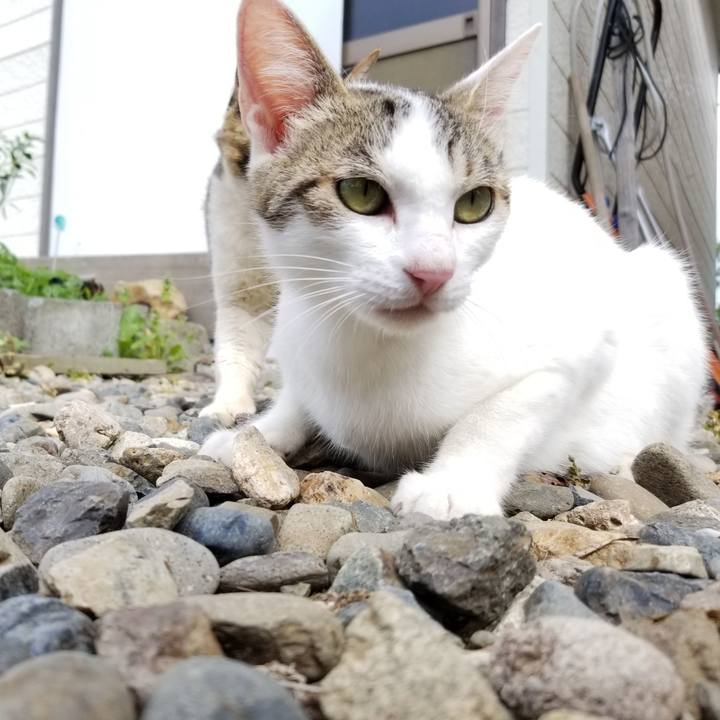 B596719c cd68 42b1 b4c3 438cae27ca87 1594941125382