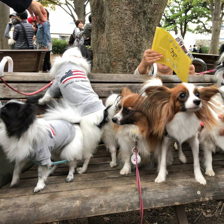 B5967bf9 e986 4683 8805 438846aae427 1509177877229