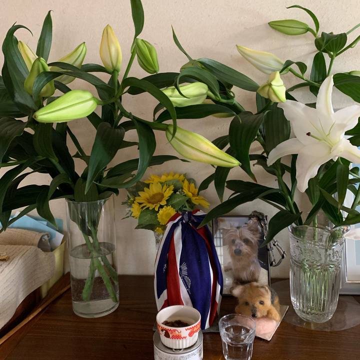 B59683f7 69c2 4778 8157 f9b89df77e32 1596161206687