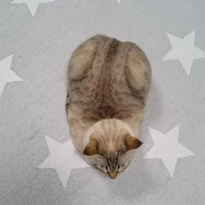 B596c719 5927 42cd a31b 92242c4b69e5 1507972324225