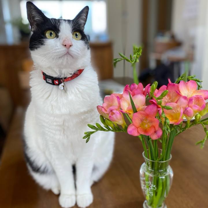 B596cabf 0623 487f 83b1 27fd96e5d6d3 1743113271933