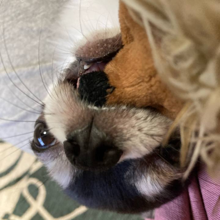 B596d973 b23a 4338 8638 af349074fe72 1645937593823