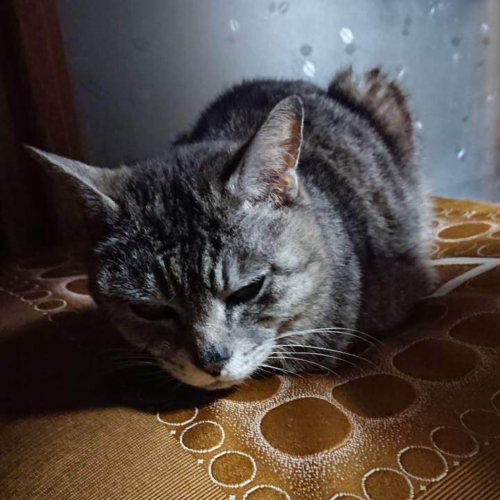 B5971847 c3bb 4391 b6f6 ef2edad7afd1 1560508203877