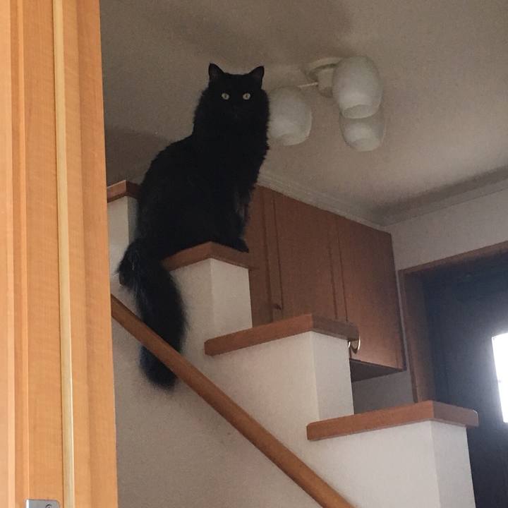 B5973172 fd04 4575 be04 ace0d862b998 1531981569960