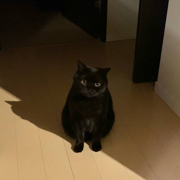 B5973669 d15f 47dc b696 17523001b012 1637668117859