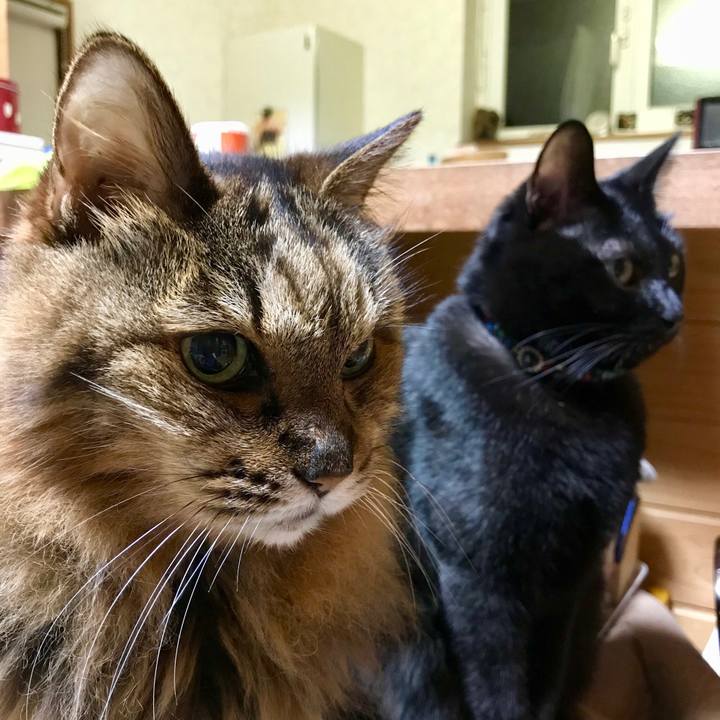 B59743c5 7025 4ff4 9474 5f826986c415 1510920807738