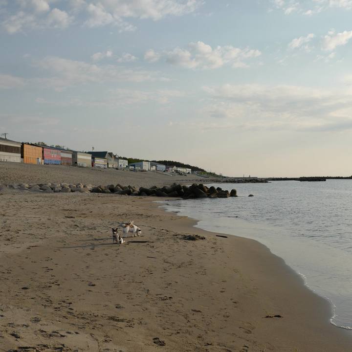 B5974592 39fa 4c2c a9ca 84891687d606 1527053134488