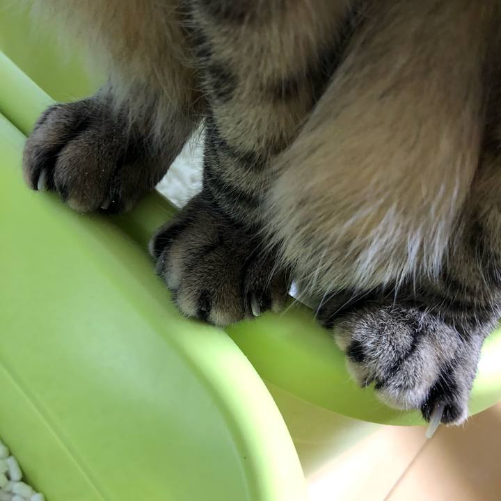 B5978911 8401 4e07 a02a d5c94736b7b8 1553719877082