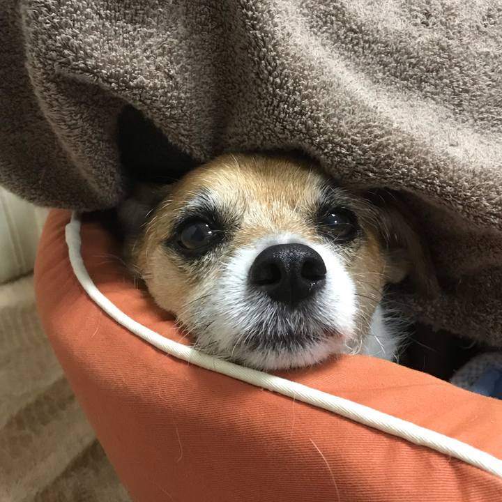 B597aa9f c862 4d40 8ce0 e279c8096f26 1555758450698