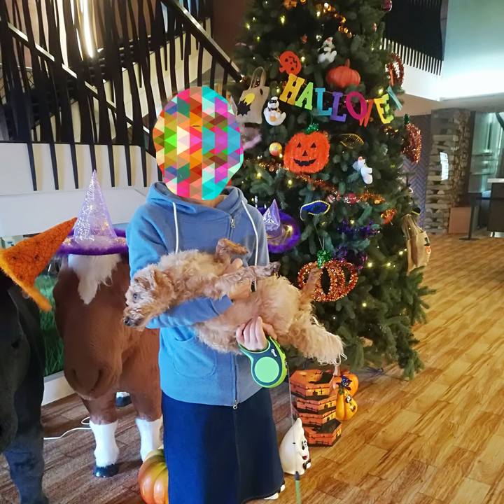 B59806b8 6704 477f a1b4 6ffe1aa30280 1570449842627