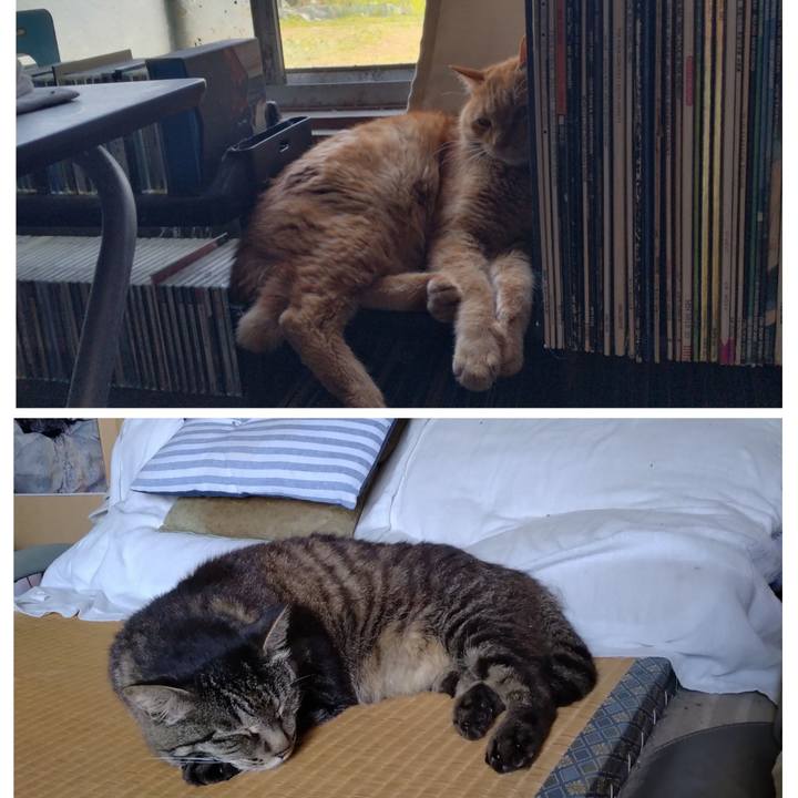 B598235c a6bd 4c25 9850 1bace68badeb 1721641907658