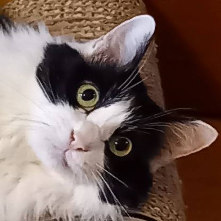 B59848c1 7efd 4855 afb4 7af5fa684ab3 1622242996824