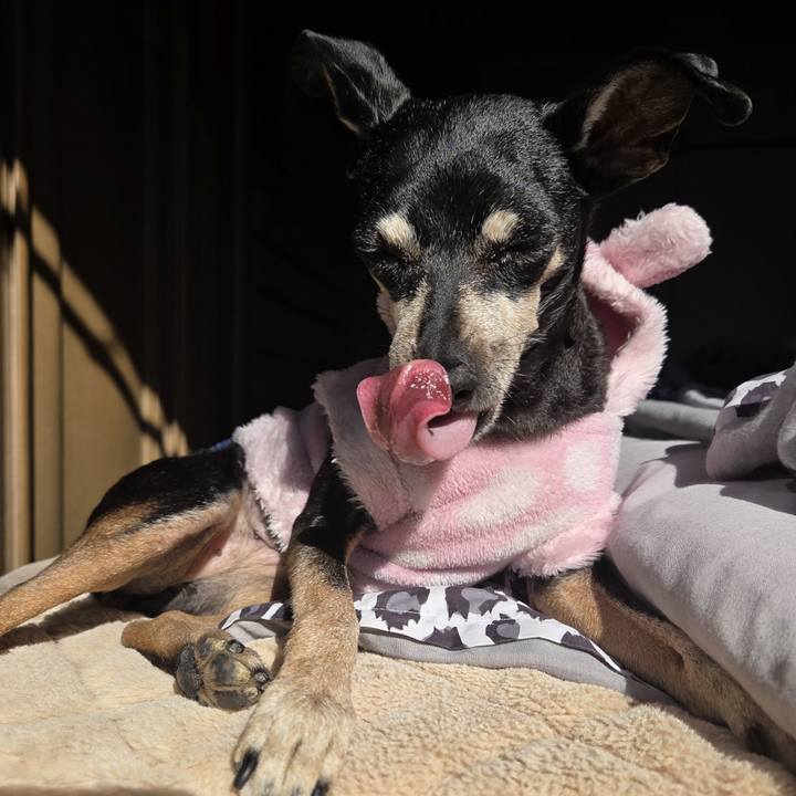 B59863b1 99d5 4c95 8c59 e28ea5675722 1769139528433