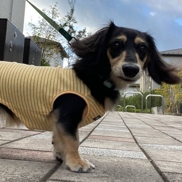 B598876f b395 458d 9e30 e73272151dbe 1695950748411