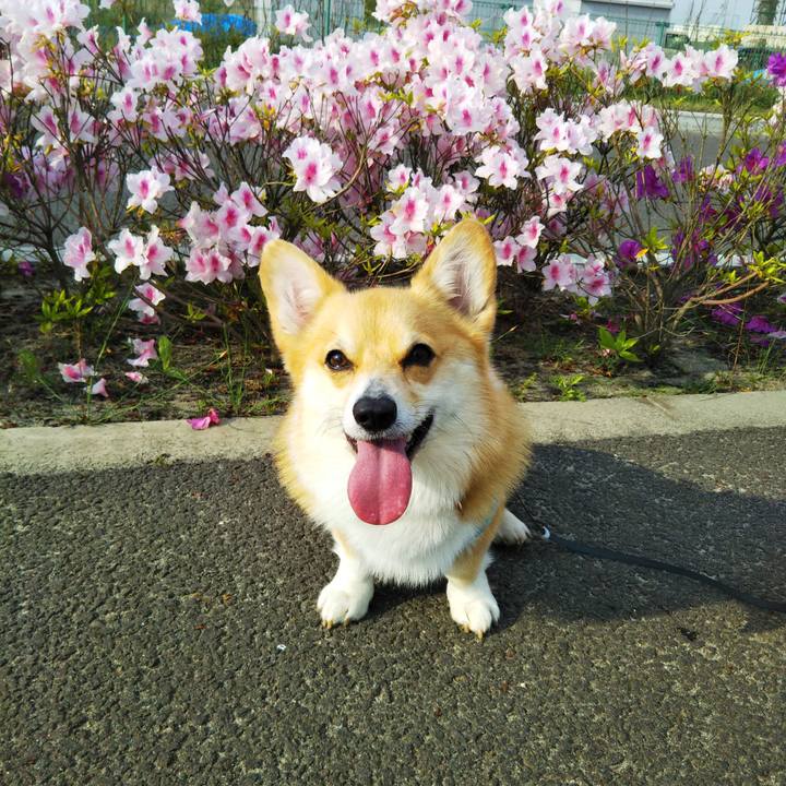 B598c8a2 22f6 4611 9af1 9d397fd496e9 1590318912831