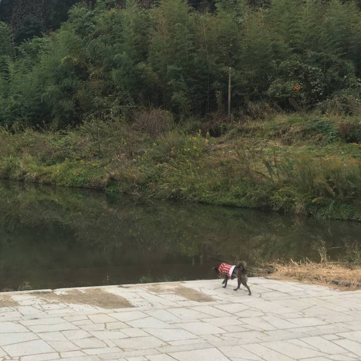 B5990557 f318 4f9b 86c6 7efba0569d3b 1511082828875